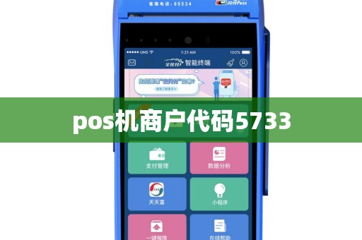 pos机商户代码5733