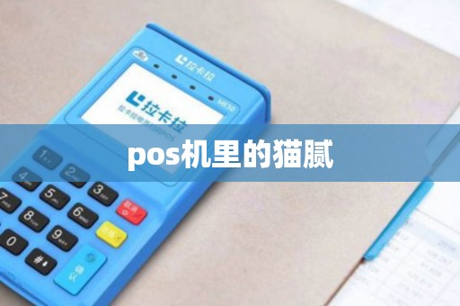 pos机里的猫腻