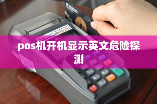 pos机开机显示英文危险探测