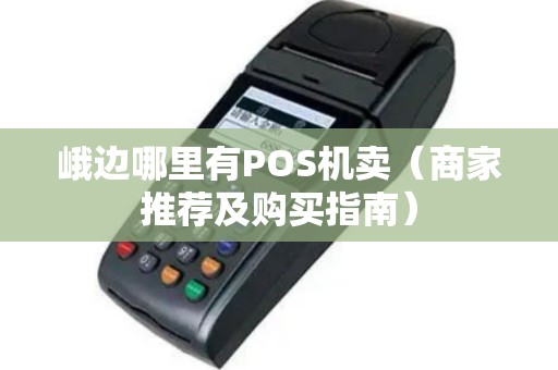 峨边哪里有POS机卖（商家推荐及购买指南）