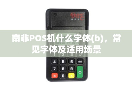 南非POS机什么字体(b)，常见字体及适用场景