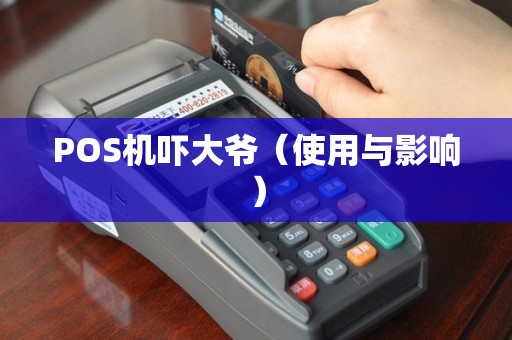 POS机吓大爷（使用与影响）