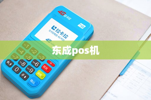 东成pos机