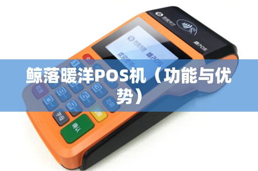 鲸落暖洋POS机（功能与优势）