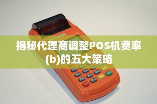 揭秘代理商调整POS机费率(b)的五大策略