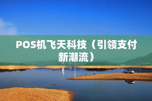 POS机飞天科技（引领支付新潮流）