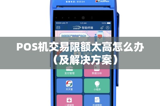 POS机交易限额太高怎么办（及解决方案）