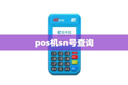 pos机sn号查询