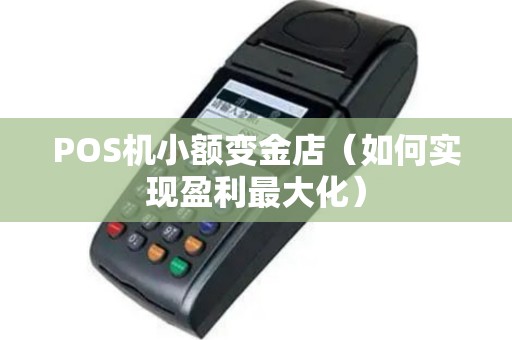 POS机小额变金店（如何实现盈利最大化）