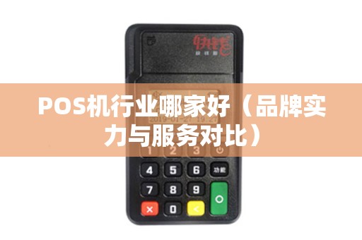 POS机行业哪家好（品牌实力与服务对比）