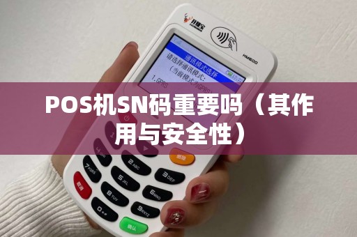 POS机SN码重要吗（其作用与安全性）