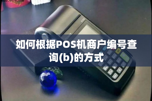 如何根据POS机商户编号查询(b)的方式