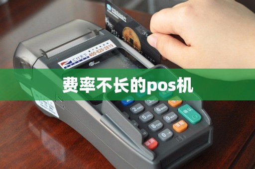 费率不长的pos机