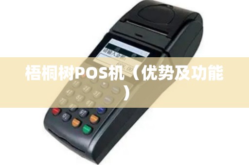 梧桐树POS机（优势及功能）