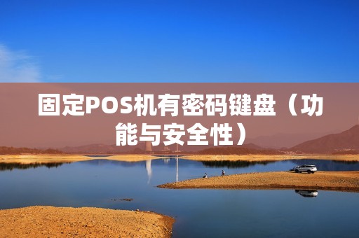 固定POS机有密码键盘（功能与安全性）