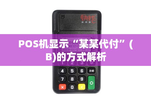 POS机显示“某某代付”(B)的方式解析
