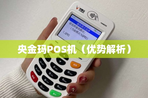 央金玛POS机（优势解析）
