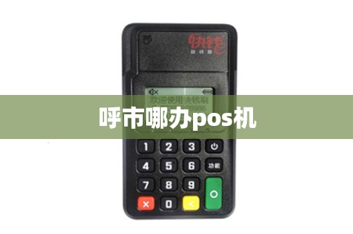 呼市哪办pos机