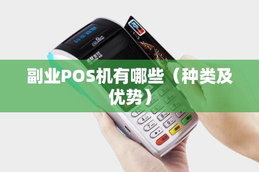 副业POS机有哪些（种类及优势）