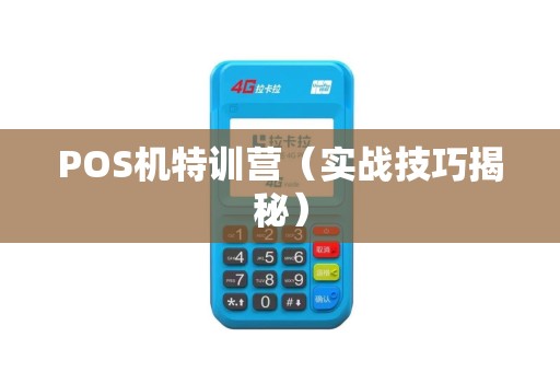 POS机特训营（实战技巧揭秘）