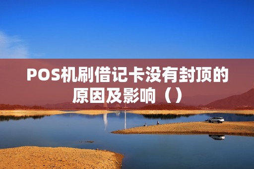 POS机刷借记卡没有封顶的原因及影响（）