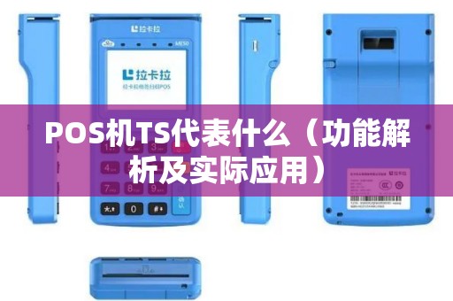 POS机TS代表什么（功能解析及实际应用）