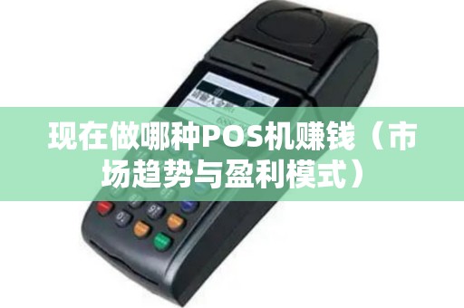 现在做哪种POS机赚钱（市场趋势与盈利模式）