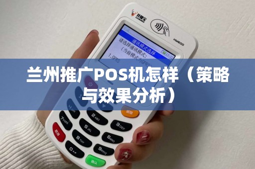 兰州推广POS机怎样（策略与效果分析）
