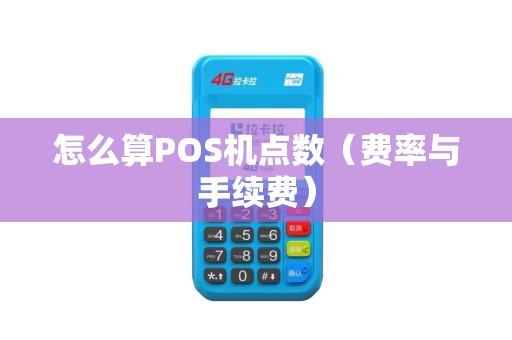 怎么算POS机点数（费率与手续费）