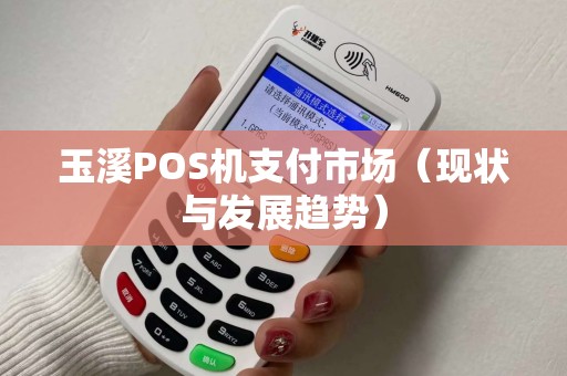 玉溪POS机支付市场（现状与发展趋势）