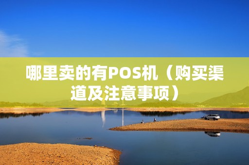 哪里卖的有POS机（购买渠道及注意事项）