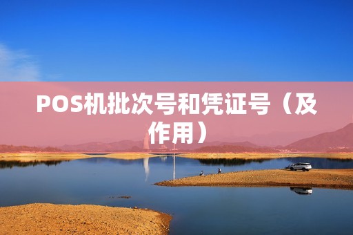 POS机批次号和凭证号（及作用）