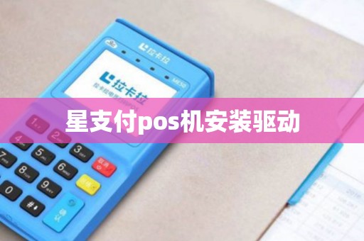 星支付pos机安装驱动