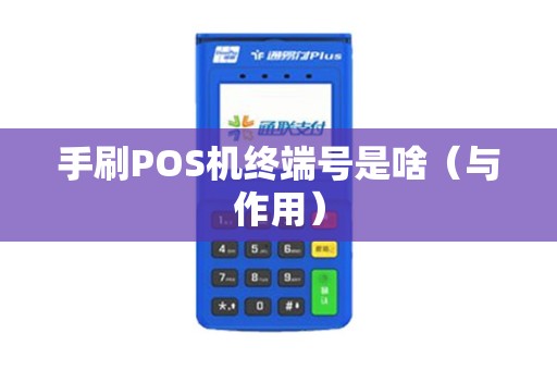 手刷POS机终端号是啥（与作用）