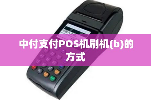 中付支付POS机刷机(b)的方式