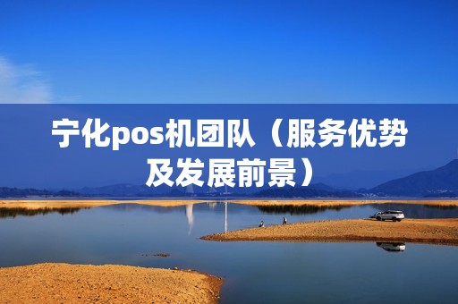 宁化pos机团队（服务优势及发展前景）