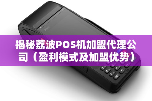 揭秘荔波POS机加盟代理公司（盈利模式及加盟优势）