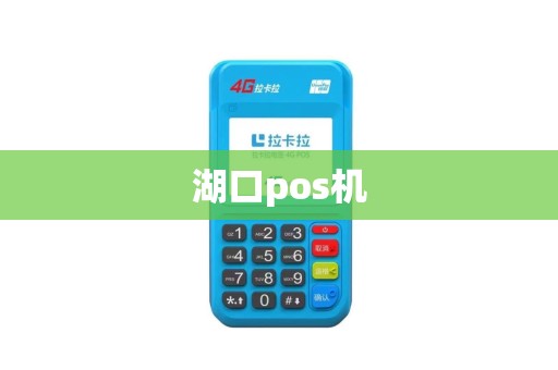 湖口pos机