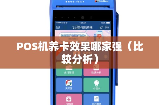 POS机养卡效果哪家强（比较分析）