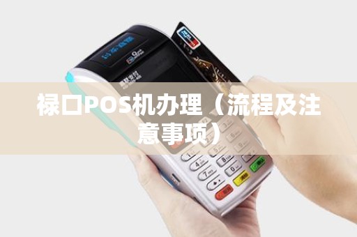 禄口POS机办理（流程及注意事项）