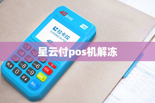 星云付pos机解冻