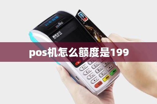 pos机怎么额度是199