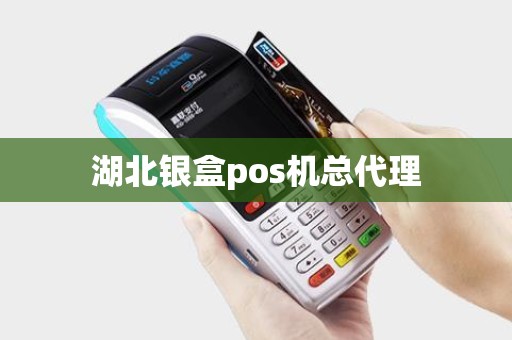湖北银盒pos机总代理