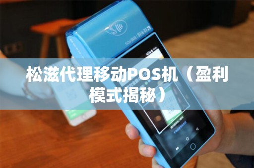 松滋代理移动POS机（盈利模式揭秘）