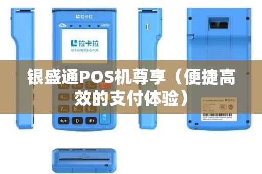 银盛通POS机尊享（便捷高效的支付体验）