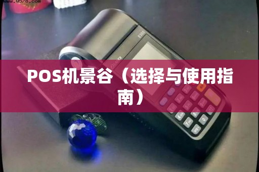 POS机景谷（选择与使用指南）