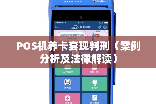POS机养卡套现判刑（案例分析及法律解读）