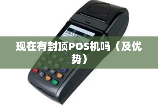 现在有封顶POS机吗（及优势）