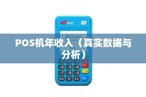 POS机年收入（真实数据与分析）