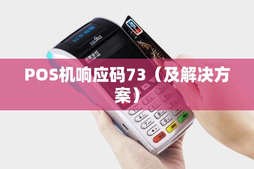 POS机响应码73（及解决方案）